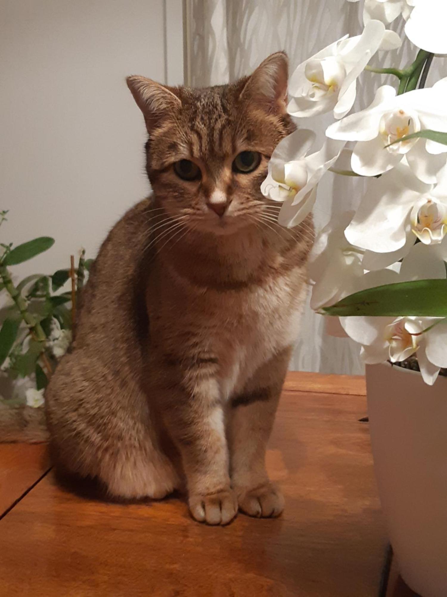 L'Embellie 호텔 Thueyts 객실 사진